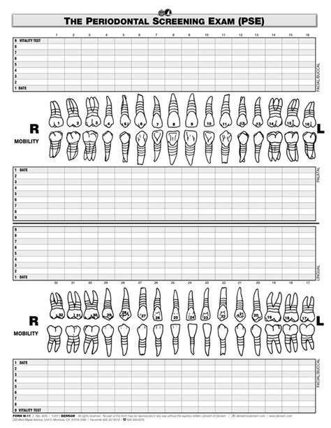 Printable Perio Chart Ada Guidelines For Perio Charting Best