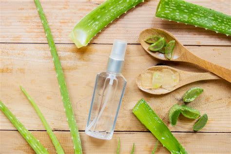 Aloe Vera for Acne: How It Works and How to Use It