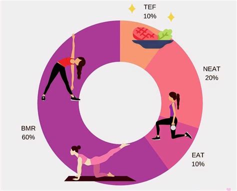 Total Daily Energy Expenditure Tdee