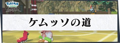 【アルセウス】いっぴき道 ケムッソの道の攻略情報｜サブ任務121【ポケモンレジェンズ】 Appmedia