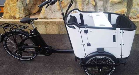 Adult Sized Tricycle What Size Do I Need Chart Guide