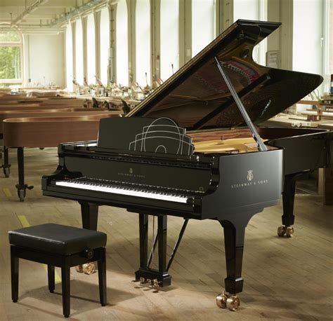 Steinway Sons D Voile Le Piano En Dition Limit E R Serv