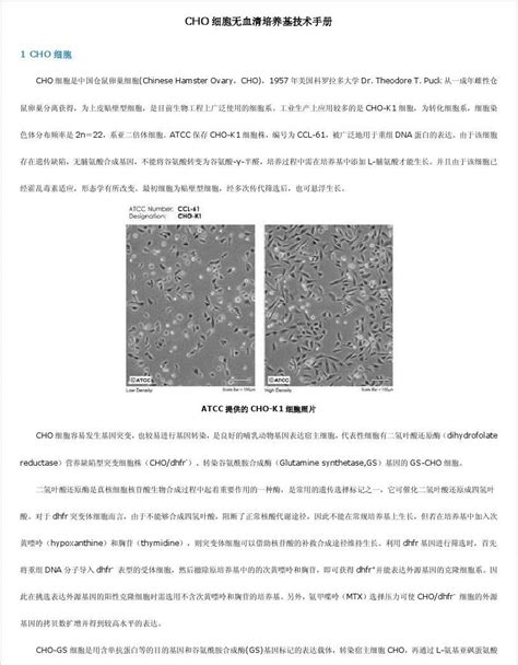 Cho细胞无血清培养基技术手册word文档在线阅读与下载无忧文档