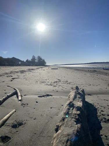 Melhores Caminhadas E Trilhas Em Bottle Beach State Park Alltrails