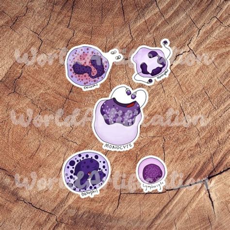 Blood Cell Etsy