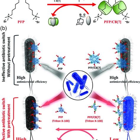 A Illustration Of Conjugated Microporous Polymer Nanoparticles Route