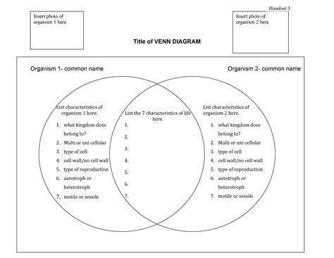 40 Free Venn Diagram Templates Word Pdf Templatelab