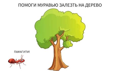 тест Помоги муравью залезть на дерево