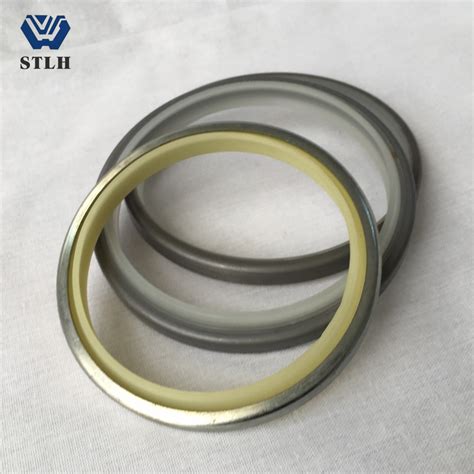 Hydraulic Wiper Seal Dki Oil Seal China Cylinder Seal Dkb Dkbi Dli