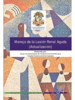 Manejo De La Lesi N Renal Aguda Actualizaci N Manejo De La Lesi