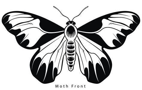 Monarch Butterfly Silhouette Vector Illustration 35162828 Vector Art