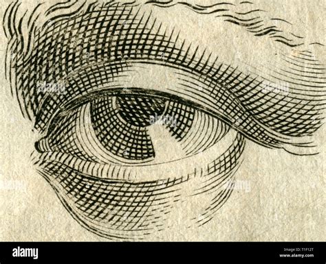 The Eye Copperplate Engraving About 1700 Artists Copyright Has Not