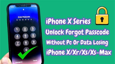 Iphone X Iphone Xr Iphone Xs Iphone Xs Max Unlock Forgot Passcode