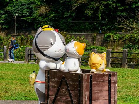 Houtong Cat Village Get Me To Taiwan
