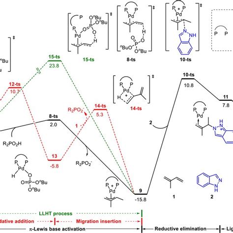 Reaction Energy Profile Of The Phosphoric Acid Mediated Pd Catalyzed