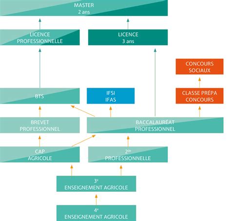 Le Parcours Professionnel Lyc E Professionnel Du Restmeur