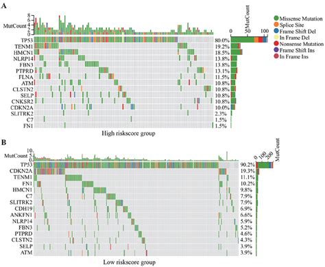 Waterfall Of Somatic Mutations In A High Risk Group And B Low Risk