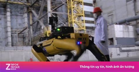 Chó robot theo dõi nhiễm xạ ở Chernobyl Chuyện lạ ZNEWS VN