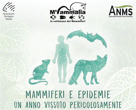 Mammiferi E Epidemie Parco Faunistico Le Cornelle