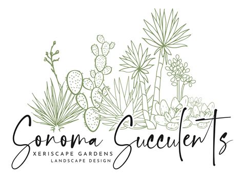 Xeriscape Design Services Sonoma Succulents Santa Rosa