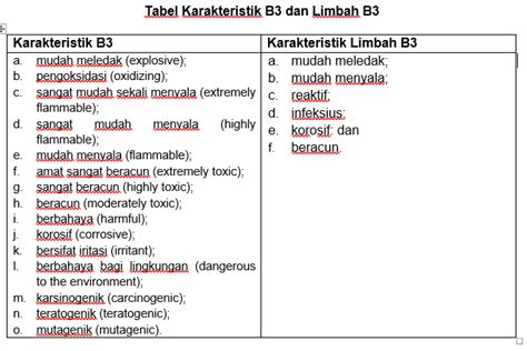 Sistem Informasi B3 POPs