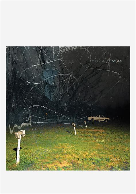 Yo La Tengo This Stupid World 2lp Vinyl Autographed Newbury Comics