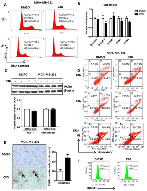 Cy Glu Induces Apoptosis In The Mda Mb Tnbc Cells Without