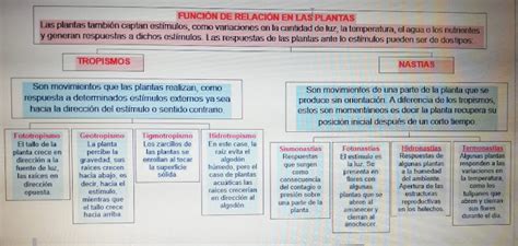 TECNO APRENDER CIENCIAS 5 II PERIÓDO