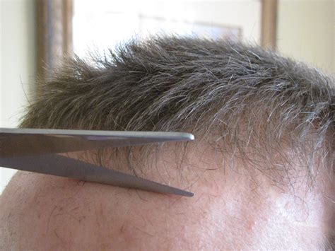 How To Cut Your Husbands Hair The Abundant Wife