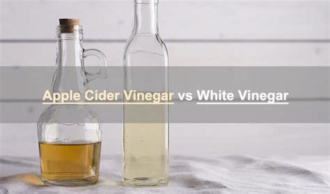 Apple Cider Vinegar Vs White Vinegar Differences To Know