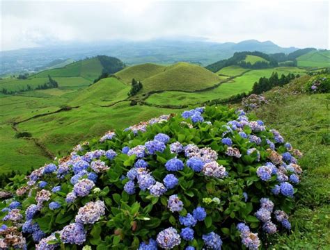 Viaggio in fiore: le mete della primavera - Latitudes