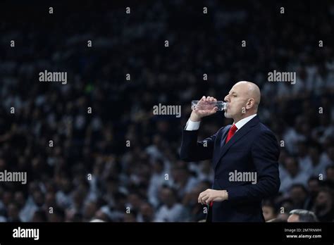 Belgrade Serbia January Head Coach Sasa Obradovic Of As