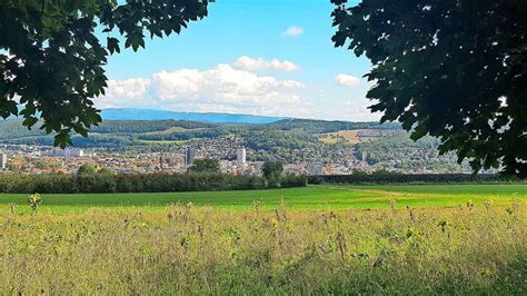 Lörrach Wie Lörrach klimaneutral werden will Lörrach Verlagshaus