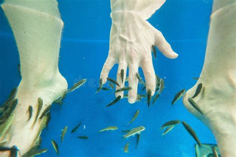 Tourists Enjoying A Fish Massage Stock Image Image Of Massage Foot