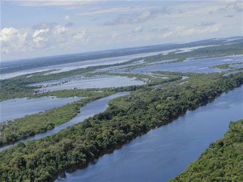 Parque Nacional De Anavilhanas Portal Amaz Nia