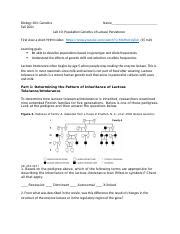 Fall Bio Lab Population Genetics Of Lactase Persistence Docx