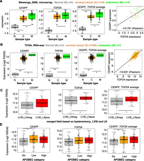 Top2a And Cenpf Expression Is Correlated With Clinical Or Molecular Download Scientific Diagram