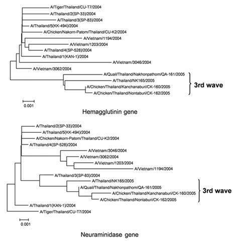 Figure H5n1 Influenza A Virus And Infected Human Plasma Volume 12