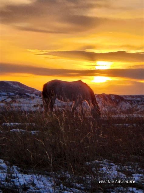 Wild Horse sunset in the Badlands - SkySpy Photos, Images, Video