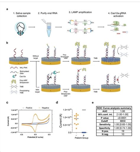 Multiplexed Electrochemical Sensor Platform Enables Simultaneous Detection Of Sars Cov 2 Rna And