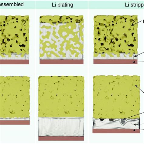 Schematics Of Li Plating And Stripping At Dense Or Porous Li LLZO