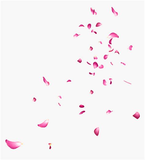 Falling Rose Petals Png Picture - Falling Petals Gif Transparent, Png ...