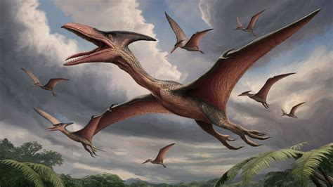 Pterodactyls The Rulers That Rule The Sky