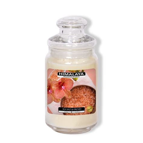 Mua Nến Thơm Sea Salt Orchid Hương Hoa Lan Và Muối Biển Ngọt Ngào