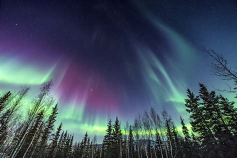 Qu Son Y C Mo Se Forman Las Auroras Boreales