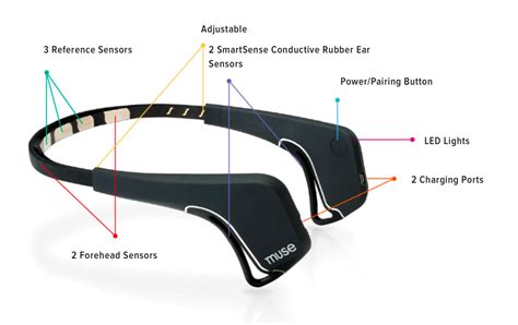 This brain-sensing headband gives scientists an idea of how brains age ...