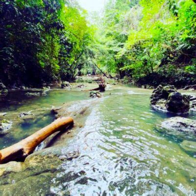 La Leyenda El Para So De La Buga En Izabal Guatemala Aprende