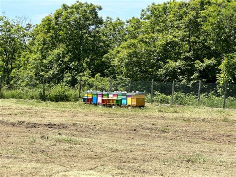 Cuccaro Vetere nasce un Centro dedicato alla Biodiversità del Cilento