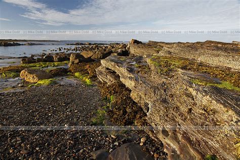 British Isles Habitats And Landscapes