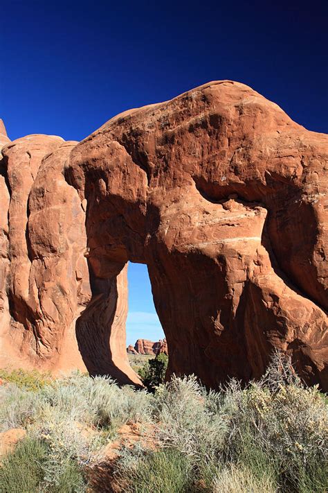 Pine Tree Arch In Arches National Park Photograph By Pierre Leclerc